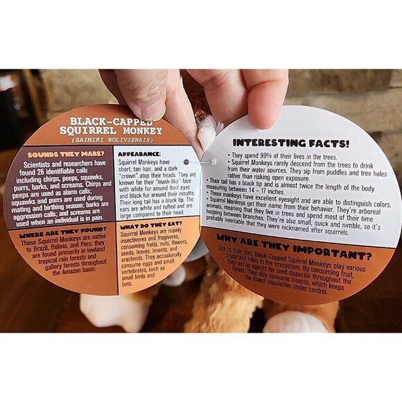 Rainforest Plush Black Capped Squirrel Monkey with Tag - Picture 11 of 12